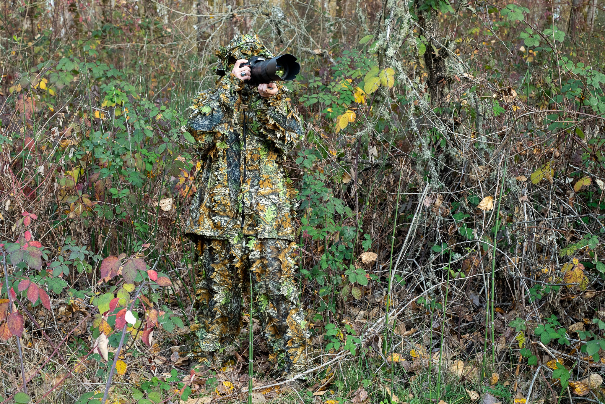 Lightweight Ghillie Suits 3D Leaf Camo Suit for Hunting, Shooting, Wildlife  Photography or Halloween - China Suit and Ghillie Suit price |  Made-in-China.com